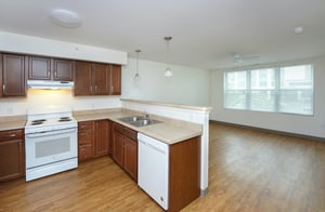 Living room & Kitchen-1