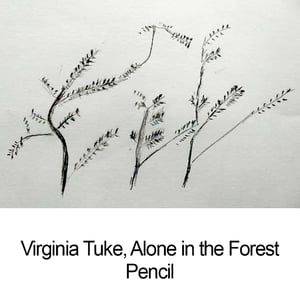 Virginia Tuke__Alone in the Forest-Pencil
